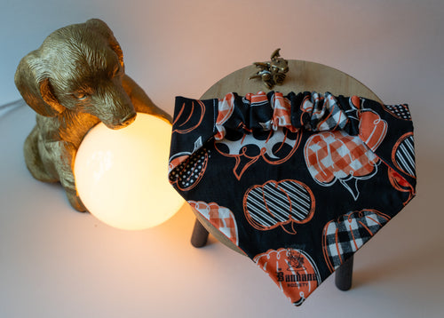 Black Pumpkin Bandana
