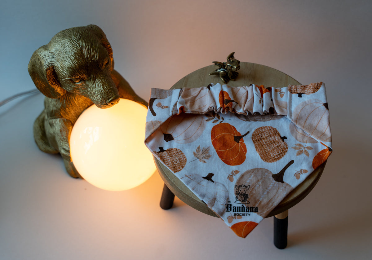 White Pumpkin Bandana
