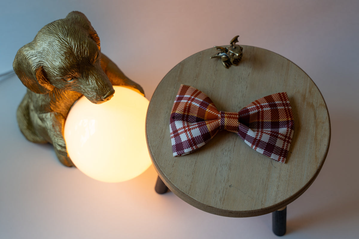 Brown Paid Bow-Tie